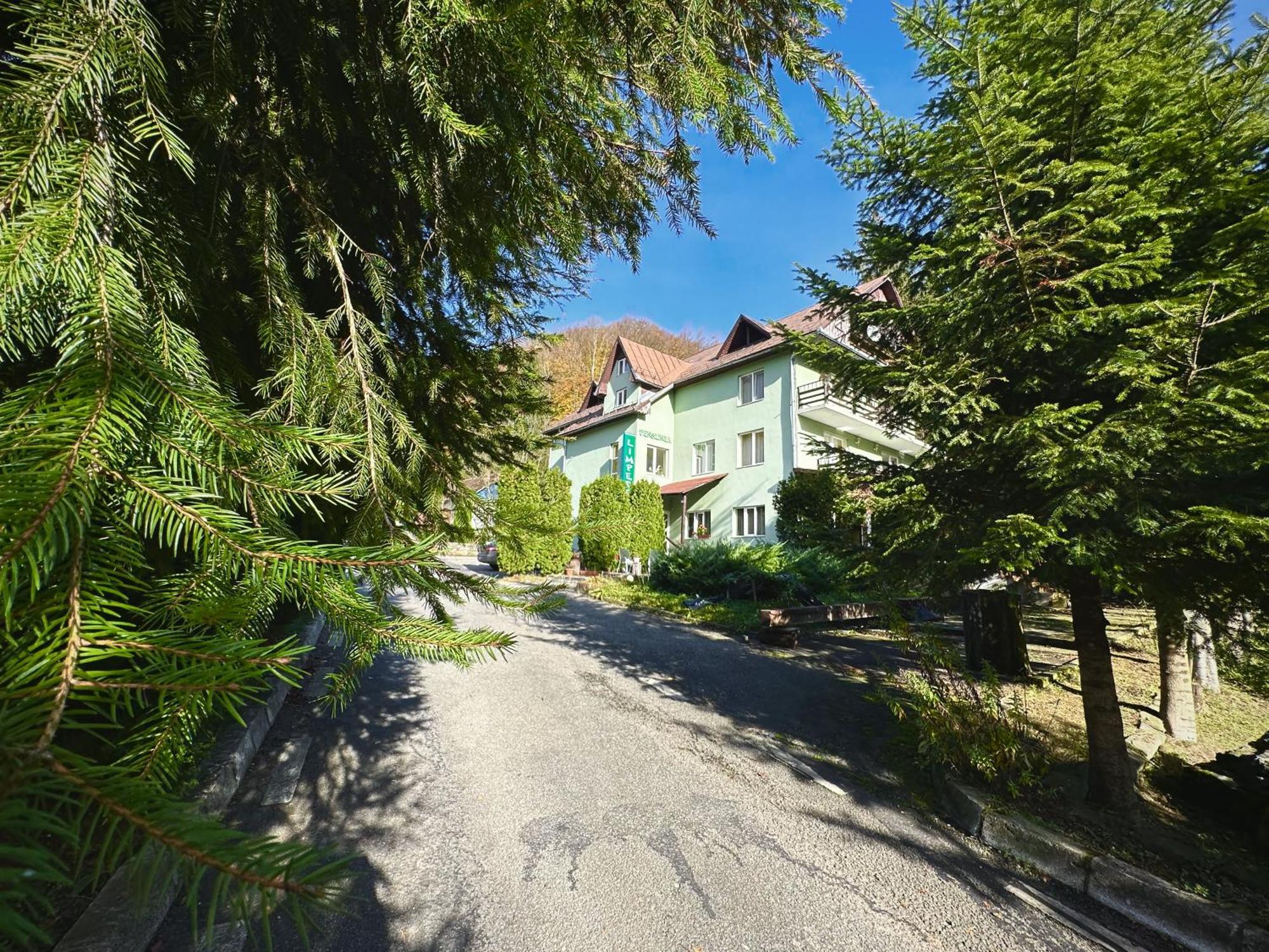Pensiunea Limpedea Baia-Sprie Dış mekan fotoğraf