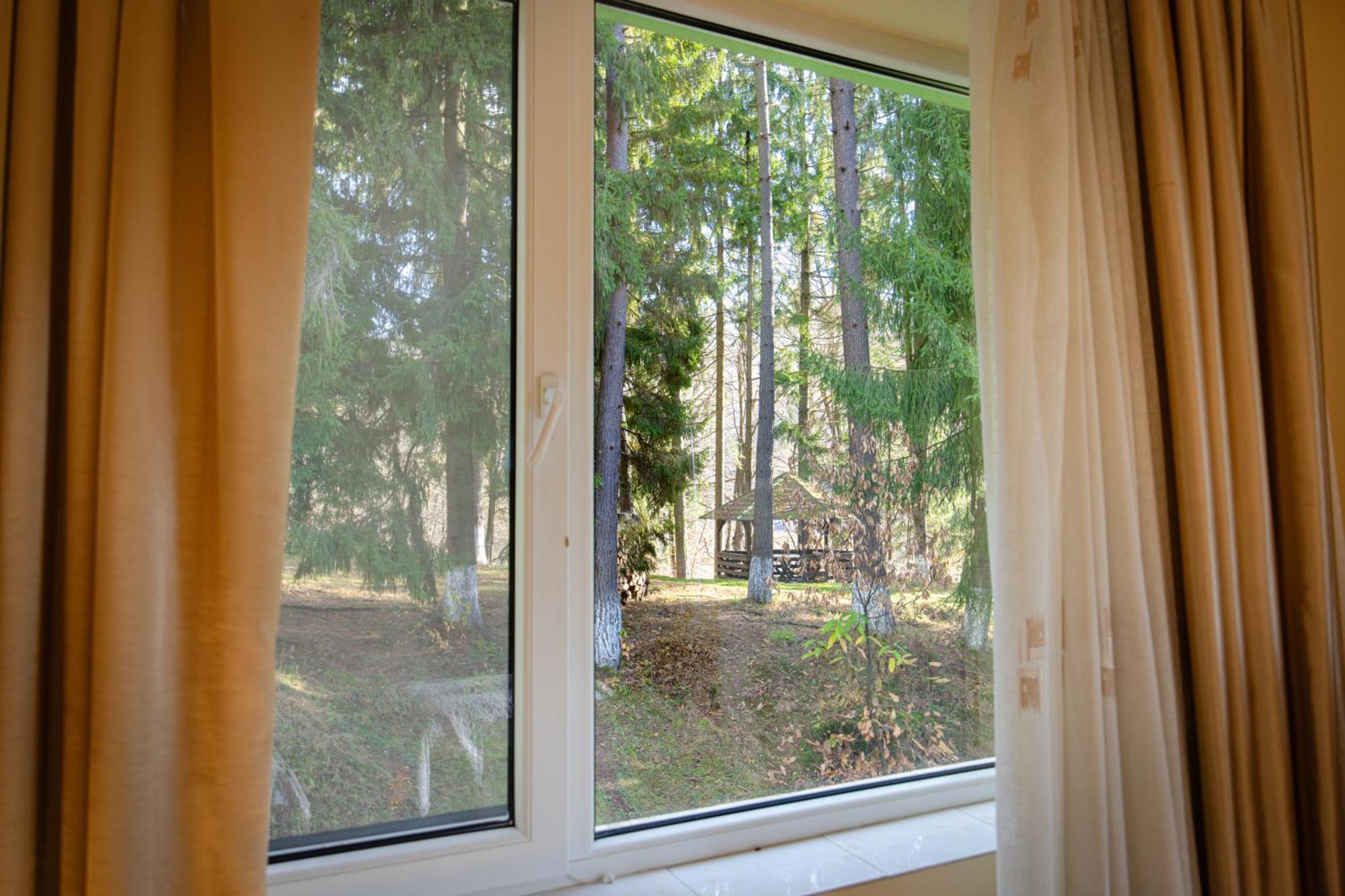 Pensiunea Limpedea Baia-Sprie Oda fotoğraf